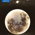 Lunar Arc Statement Wall Light