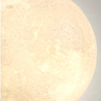 Half Moon Wall Light