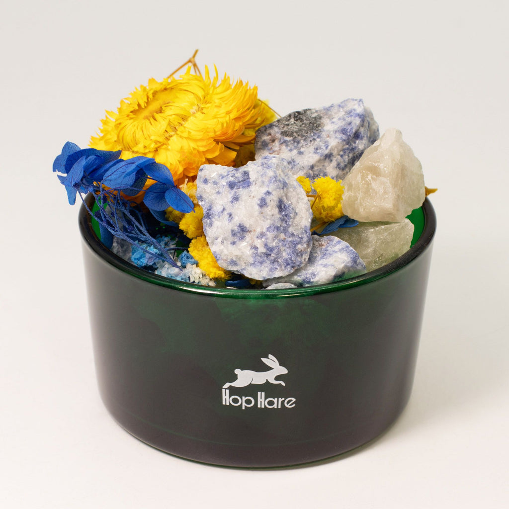 Solar Bloom — Diffusing Crystal & Floral Set