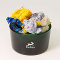 Solar Bloom — Diffusing Crystal & Floral Set