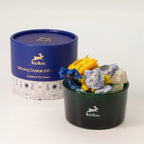 Solar Bloom — Diffusing Crystal & Floral Set